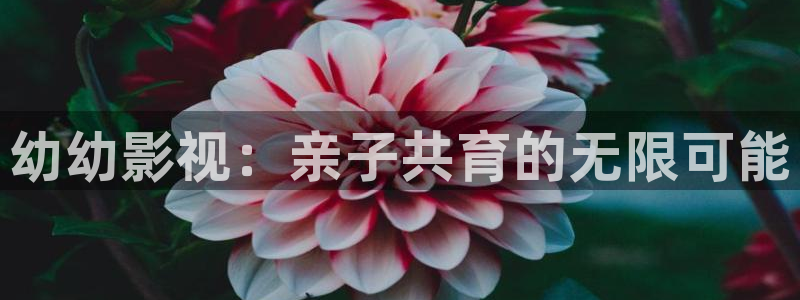 飘花在线观看电影