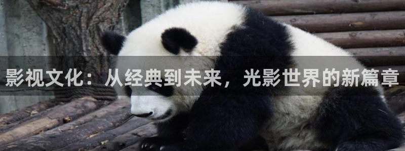 飘花影院在线观看