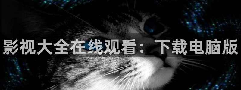 飘花影视网最新电影