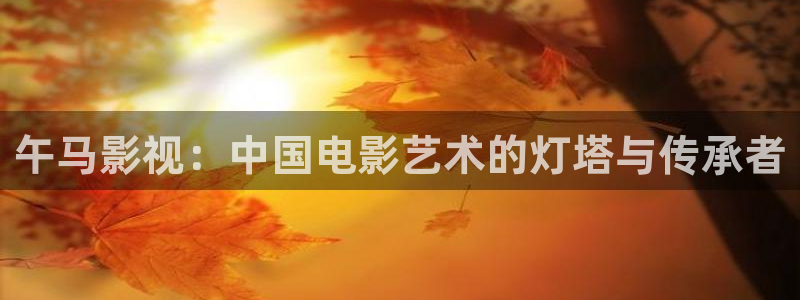 飘花影院高清画质